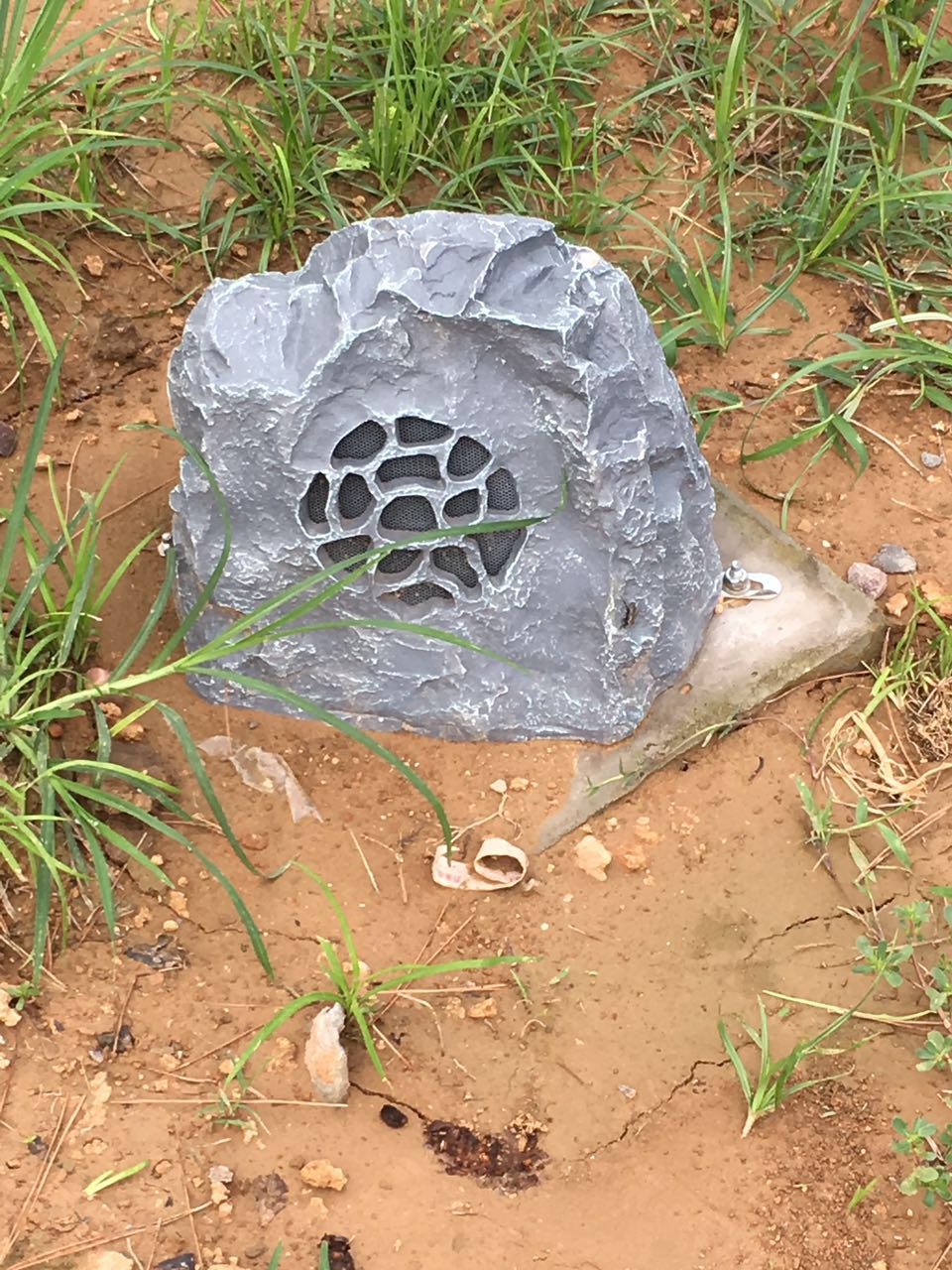 开云kaiyun电竞·(中国区)官方网站